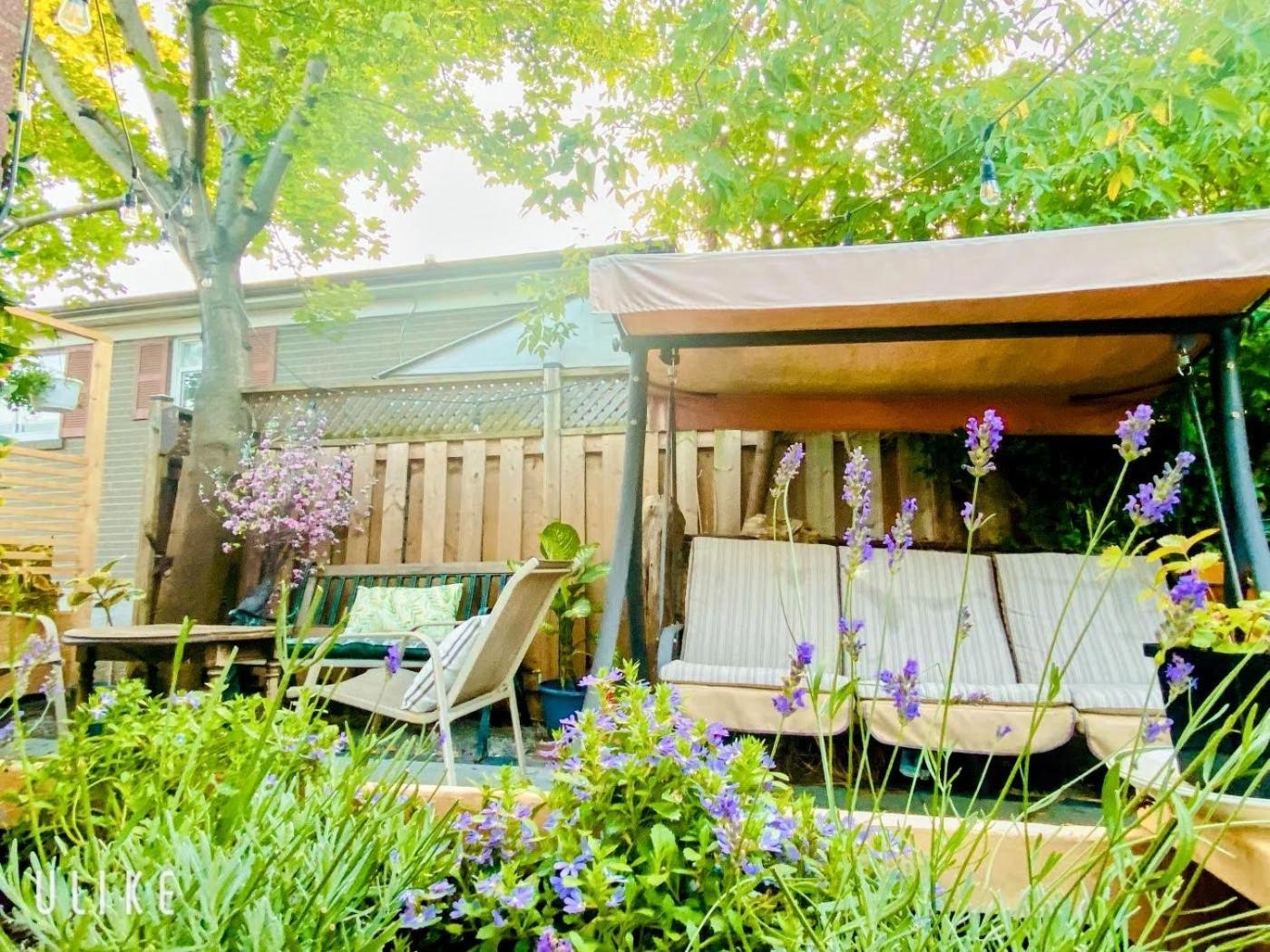 Toronto Bed & Breakfast - Free Parking Екстериор снимка